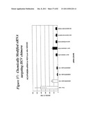 RNA INTERFERENCE MEDIATED INHIBITION OF GENE EXPRESSION USING CHEMICALLY     MODIFIED SHORT INTERFERING NUCLEIC ACID (siNA) diagram and image