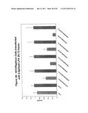 RNA INTERFERENCE MEDIATED INHIBITION OF GENE EXPRESSION USING CHEMICALLY     MODIFIED SHORT INTERFERING NUCLEIC ACID (siNA) diagram and image