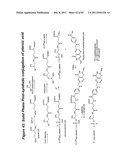 RNA INTERFERENCE MEDIATED INHIBITION OF GENE EXPRESSION USING CHEMICALLY     MODIFIED SHORT INTERFERING NUCLEIC ACID (siNA) diagram and image