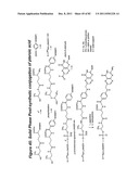 RNA INTERFERENCE MEDIATED INHIBITION OF GENE EXPRESSION USING CHEMICALLY     MODIFIED SHORT INTERFERING NUCLEIC ACID (siNA) diagram and image