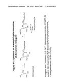 RNA INTERFERENCE MEDIATED INHIBITION OF GENE EXPRESSION USING CHEMICALLY     MODIFIED SHORT INTERFERING NUCLEIC ACID (siNA) diagram and image