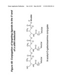 RNA INTERFERENCE MEDIATED INHIBITION OF GENE EXPRESSION USING CHEMICALLY     MODIFIED SHORT INTERFERING NUCLEIC ACID (siNA) diagram and image