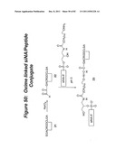 RNA INTERFERENCE MEDIATED INHIBITION OF GENE EXPRESSION USING CHEMICALLY     MODIFIED SHORT INTERFERING NUCLEIC ACID (siNA) diagram and image