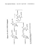 RNA INTERFERENCE MEDIATED INHIBITION OF GENE EXPRESSION USING CHEMICALLY     MODIFIED SHORT INTERFERING NUCLEIC ACID (siNA) diagram and image