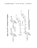 RNA INTERFERENCE MEDIATED INHIBITION OF GENE EXPRESSION USING CHEMICALLY     MODIFIED SHORT INTERFERING NUCLEIC ACID (siNA) diagram and image