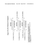 RNA INTERFERENCE MEDIATED INHIBITION OF GENE EXPRESSION USING CHEMICALLY     MODIFIED SHORT INTERFERING NUCLEIC ACID (siNA) diagram and image