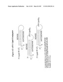 RNA INTERFERENCE MEDIATED INHIBITION OF GENE EXPRESSION USING CHEMICALLY     MODIFIED SHORT INTERFERING NUCLEIC ACID (siNA) diagram and image