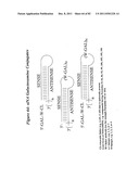 RNA INTERFERENCE MEDIATED INHIBITION OF GENE EXPRESSION USING CHEMICALLY     MODIFIED SHORT INTERFERING NUCLEIC ACID (siNA) diagram and image