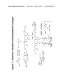 RNA INTERFERENCE MEDIATED INHIBITION OF GENE EXPRESSION USING CHEMICALLY     MODIFIED SHORT INTERFERING NUCLEIC ACID (siNA) diagram and image