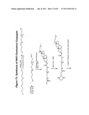 RNA INTERFERENCE MEDIATED INHIBITION OF GENE EXPRESSION USING CHEMICALLY     MODIFIED SHORT INTERFERING NUCLEIC ACID (siNA) diagram and image