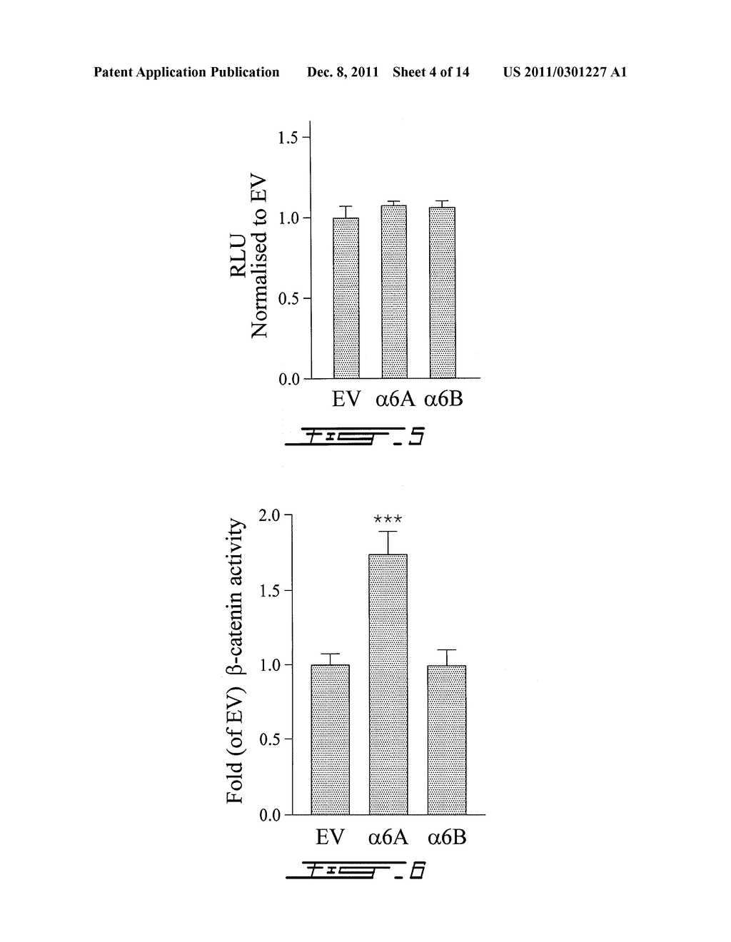 PROLIFERATION-ASSOCIATED MODULATION OF THE SPLICING OF THE INTEGRIN ALPHA     6 ISOFORMS - diagram, schematic, and image 05