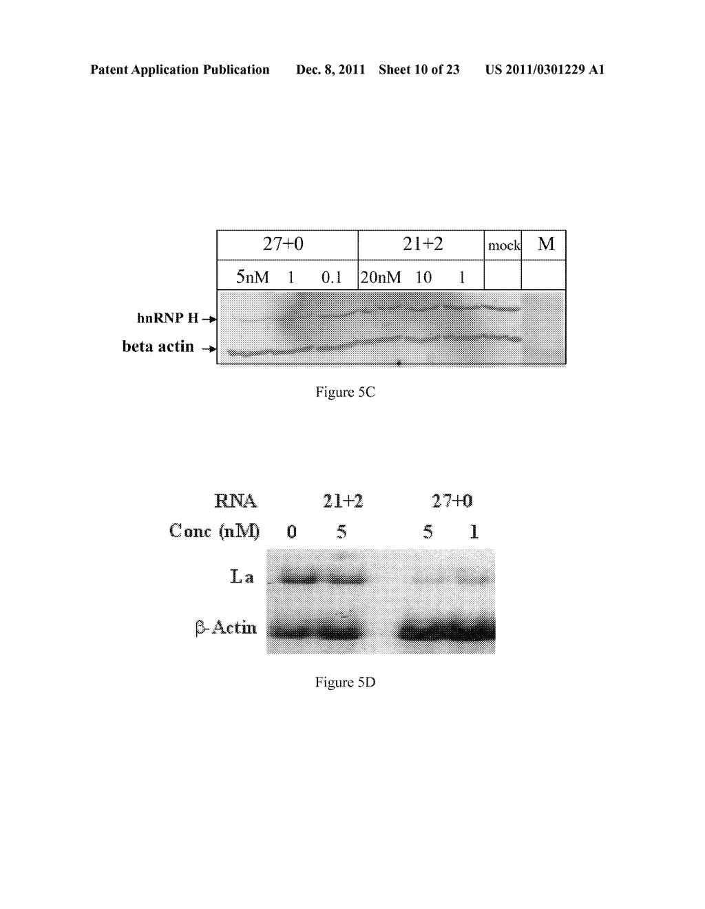 METHODS AND COMPOSITIONS FOR THE SPECIFIC INHIBITION OF GENE EXPRESSION BY     DOUBLE-STRANDED RNA - diagram, schematic, and image 11