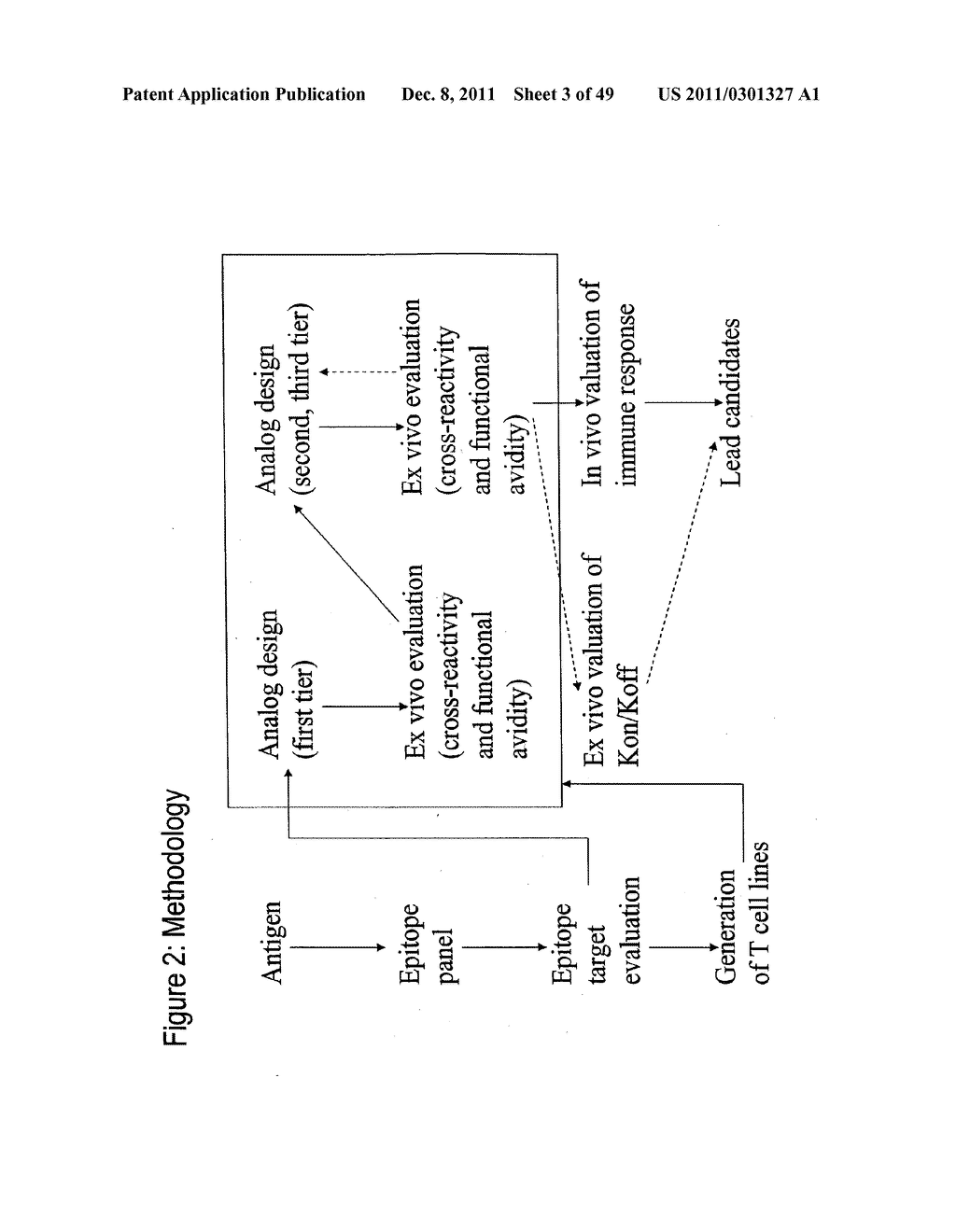 EPITOPE ANALOGS - diagram, schematic, and image 04