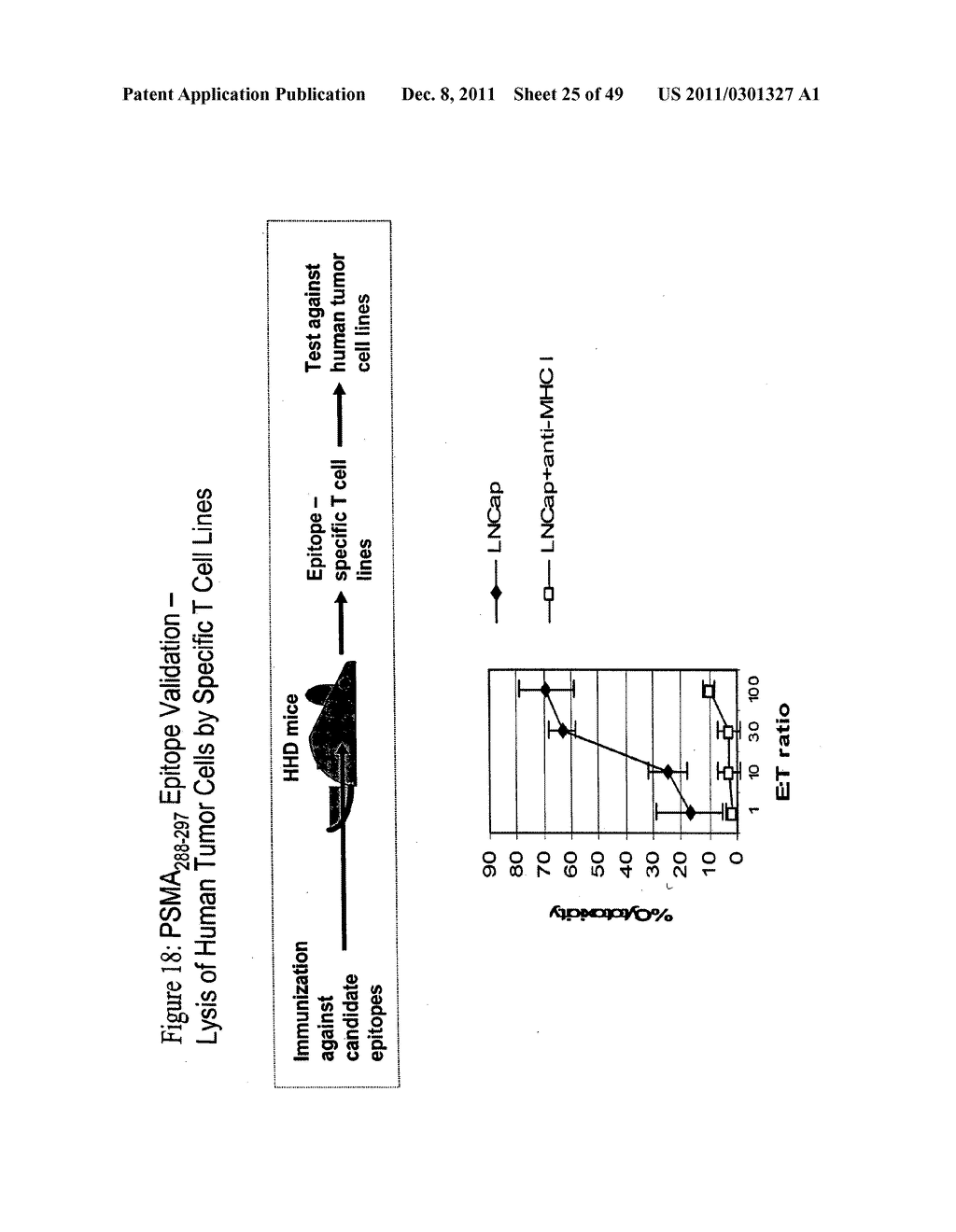 EPITOPE ANALOGS - diagram, schematic, and image 26