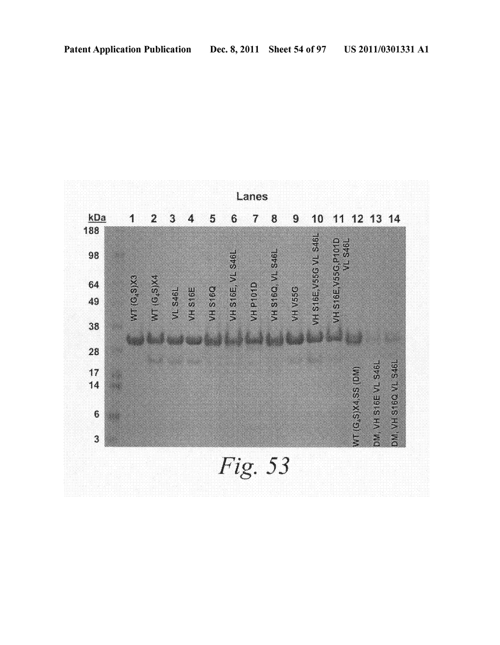 Stabilized polypeptide compositions - diagram, schematic, and image 55