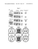 MICROFLUIDIC CONTROL SYSTEMS diagram and image