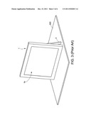 DISPLAY DEVICE diagram and image