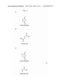 IMIDIZED AND AMIDIZED ROSIN COMPOSITIONS FOR PAPER SIZES AND OTHER     APPLICATIONS diagram and image