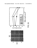 LIGHT EMITTING DIODE SYSTEMS INCLUDING OPTICAL DISPLAY SYSTEMS HAVING A     MICRODISPLAY diagram and image