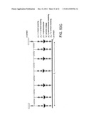 LIGHT EMITTING DIODE SYSTEMS INCLUDING OPTICAL DISPLAY SYSTEMS HAVING A     MICRODISPLAY diagram and image