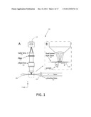 BESSEL BEAM PLANE ILLUMINATION MICROSCOPE diagram and image