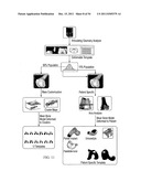 DEFORMABLE ARTICULATING TEMPLATE (formerly: CUSTOMIZED ORTHOPAEDIC     IMPLANTS & RELATED METHODS) diagram and image