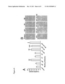 TREATMENT OF CHRONIC INFLAMMATORY RESPIRATORY DISORDERS diagram and image