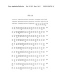 ANTIBODIES TO THYMIC STROMAL LYMPHOPOIETIN RECEPTOR MOLECULES AND USES     THEREOF diagram and image