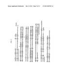 ANTIBODIES TO THYMIC STROMAL LYMPHOPOIETIN RECEPTOR MOLECULES AND USES     THEREOF diagram and image