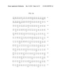 ANTIBODIES TO THYMIC STROMAL LYMPHOPOIETIN RECEPTOR MOLECULES AND USES     THEREOF diagram and image