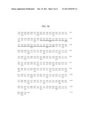 ANTIBODIES TO THYMIC STROMAL LYMPHOPOIETIN RECEPTOR MOLECULES AND USES     THEREOF diagram and image