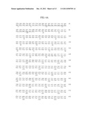 ANTIBODIES TO THYMIC STROMAL LYMPHOPOIETIN RECEPTOR MOLECULES AND USES     THEREOF diagram and image