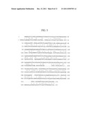 ANTIBODIES TO THYMIC STROMAL LYMPHOPOIETIN RECEPTOR MOLECULES AND USES     THEREOF diagram and image