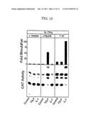 ANTIBODIES TO THYMIC STROMAL LYMPHOPOIETIN RECEPTOR MOLECULES AND USES     THEREOF diagram and image