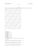 ANTIBODIES TO THYMIC STROMAL LYMPHOPOIETIN RECEPTOR MOLECULES AND USES     THEREOF diagram and image