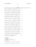 ANTIBODIES TO THYMIC STROMAL LYMPHOPOIETIN RECEPTOR MOLECULES AND USES     THEREOF diagram and image