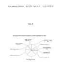 COMPOSITIONS AND METHODS FOR TREATING CANCER diagram and image