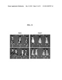 COMPOSITIONS AND METHODS FOR TREATING CANCER diagram and image