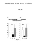 COMPOSITIONS AND METHODS FOR TREATING CANCER diagram and image