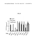 COMPOSITIONS AND METHODS FOR TREATING CANCER diagram and image