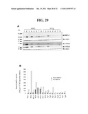 COMPOSITIONS AND METHODS FOR TREATING CANCER diagram and image