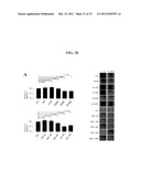 COMPOSITIONS AND METHODS FOR TREATING CANCER diagram and image