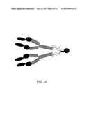 Identification and Engineering of Antibodies with Variant Fc Regions and     Methods of Using Same diagram and image