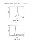 Identification and Engineering of Antibodies with Variant Fc Regions and     Methods of Using Same diagram and image