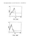 Identification and Engineering of Antibodies with Variant Fc Regions and     Methods of Using Same diagram and image