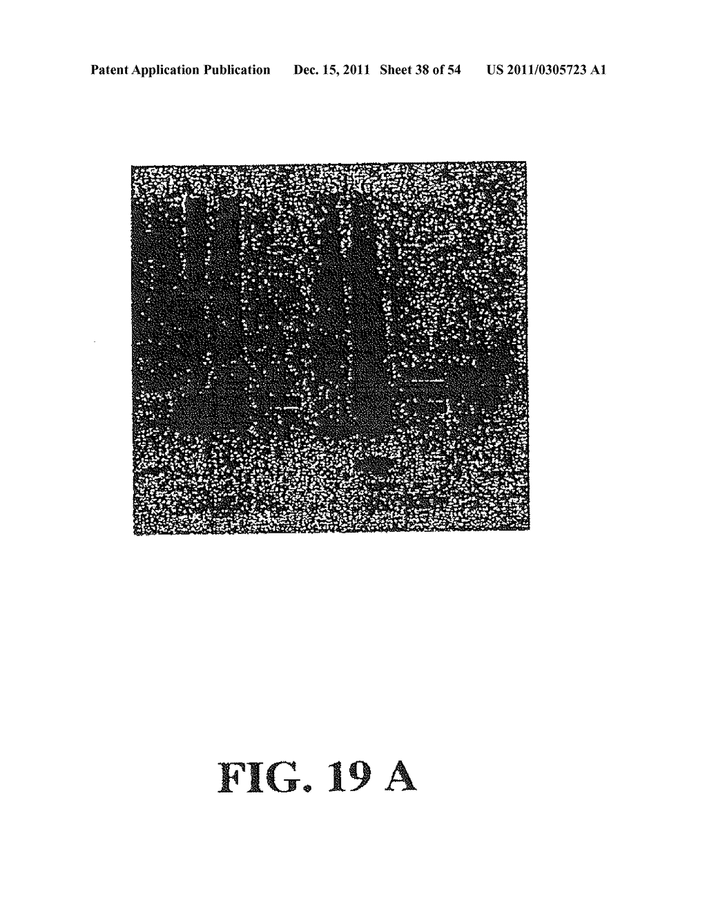 Molecular Antigen Array - diagram, schematic, and image 39