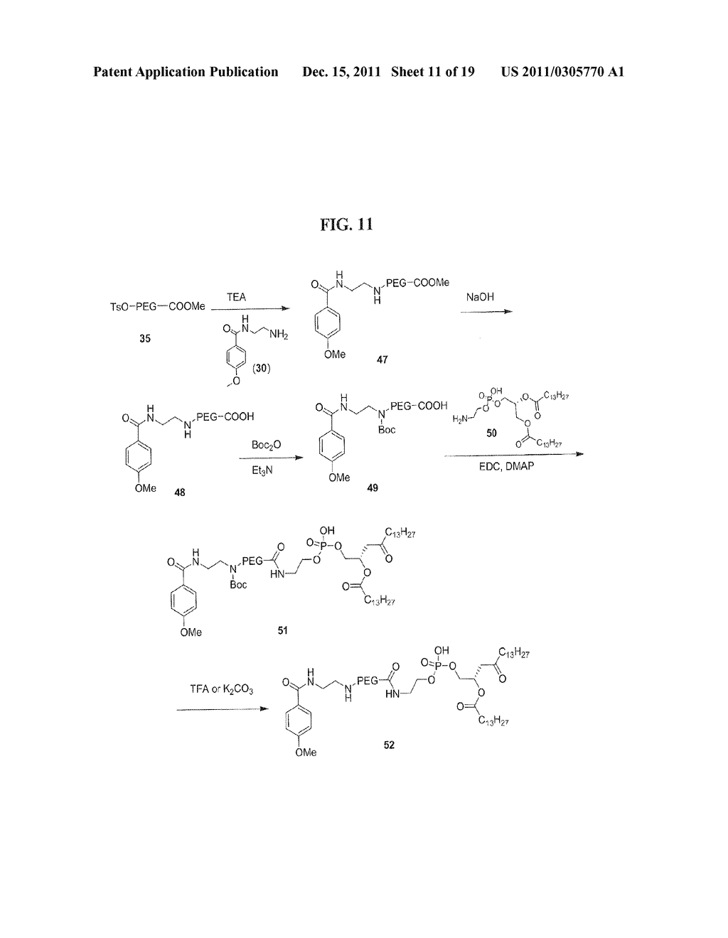 RELEASABLE POLYMERIC LIPIDS FOR NUCLEIC ACIDS DELIVERY SYSTEM - diagram, schematic, and image 12