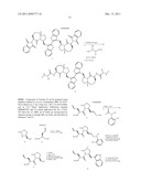 DIMERIC IAP ANTAGONISTS diagram and image