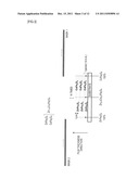 FERRITE MATERIAL HAVING COMPOSITION GRADIENT FOR MEASURING     MAGNETO-OPTICAL-EFFECT PROPERTIES AND METHOD FOR EVALUATING PROPERTIES OF     FERRITE diagram and image