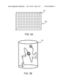 METHOD AND APPARATUS FOR DETECTING SPECIFIC DNA SEQUENCES diagram and image